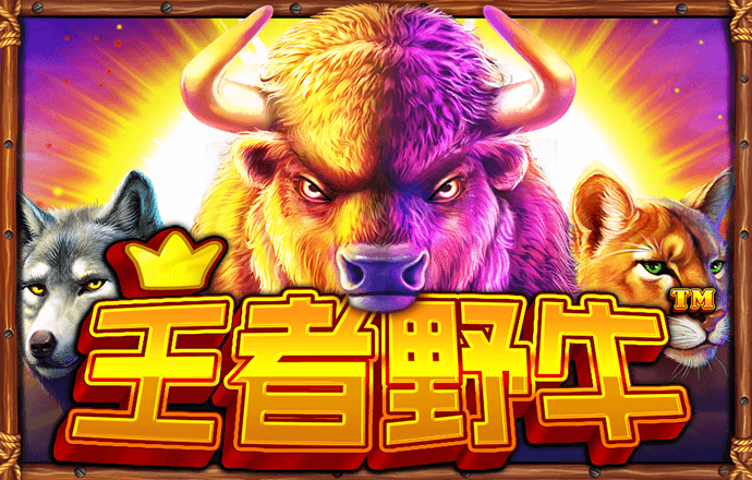 K1体育官方网站